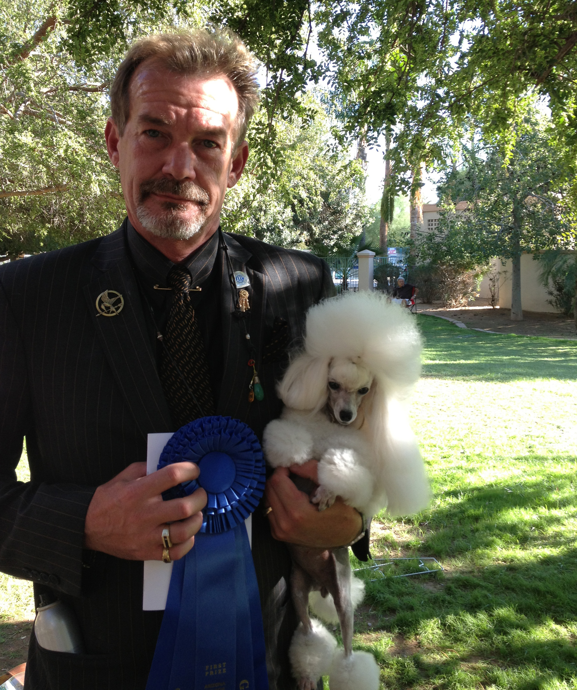 GCH CH Smash JP Winning Ribbon